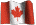Canadian Flag